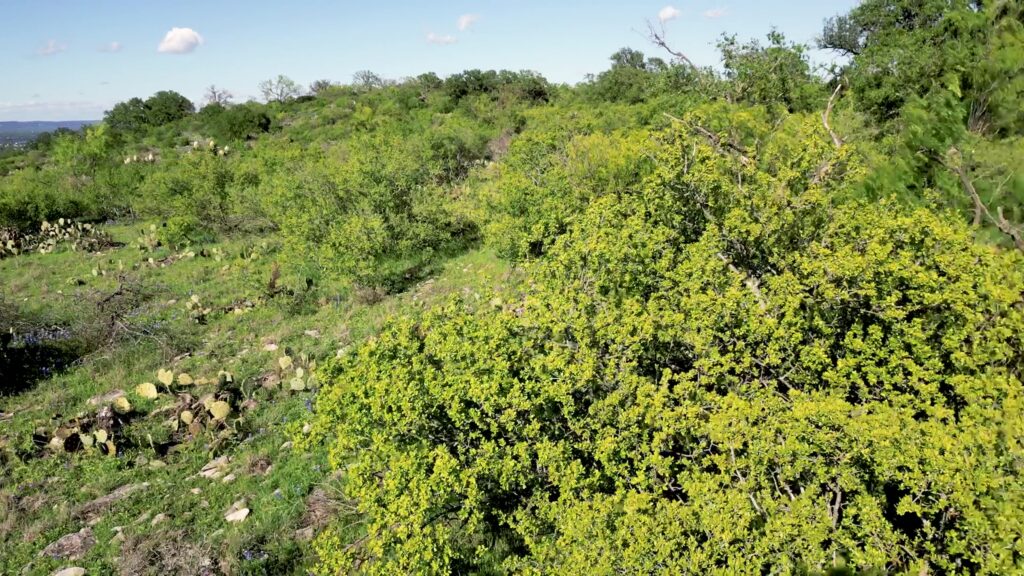 Homesite 24 at Atten Hill