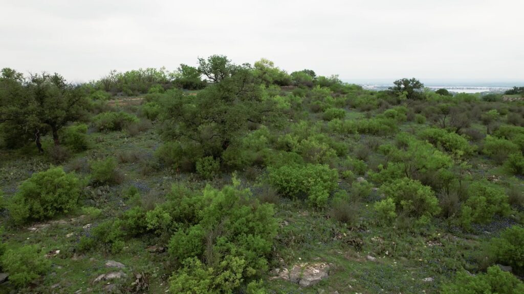 Homesite 54 at Atten Hill — photo 4